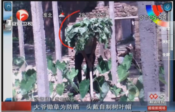農(nóng)民防曬有絕招，就地取材，頭戴樹葉自制帽子