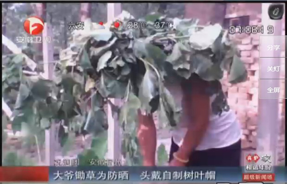 農(nóng)民防曬有絕招，就地取材，頭戴樹葉自制帽子